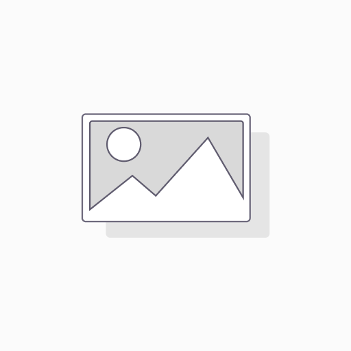 Plesk Web Admin