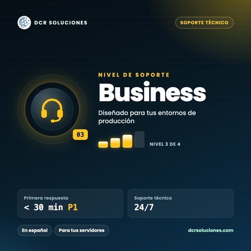 Soporte técnico Business para servidores